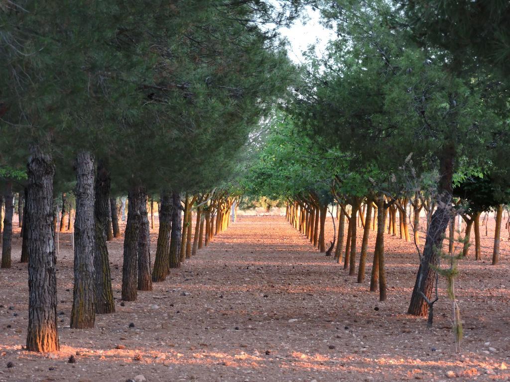 منزل الضيف Miguel Esteban  في Casa Rural Santa Ana المظهر الخارجي الصورة